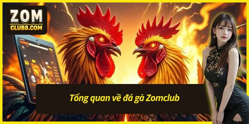 Đá gà Zomclub nổi bật trên thị trường cá cược đá gà nhờ chất lượng trực tiếp đỉnh cao